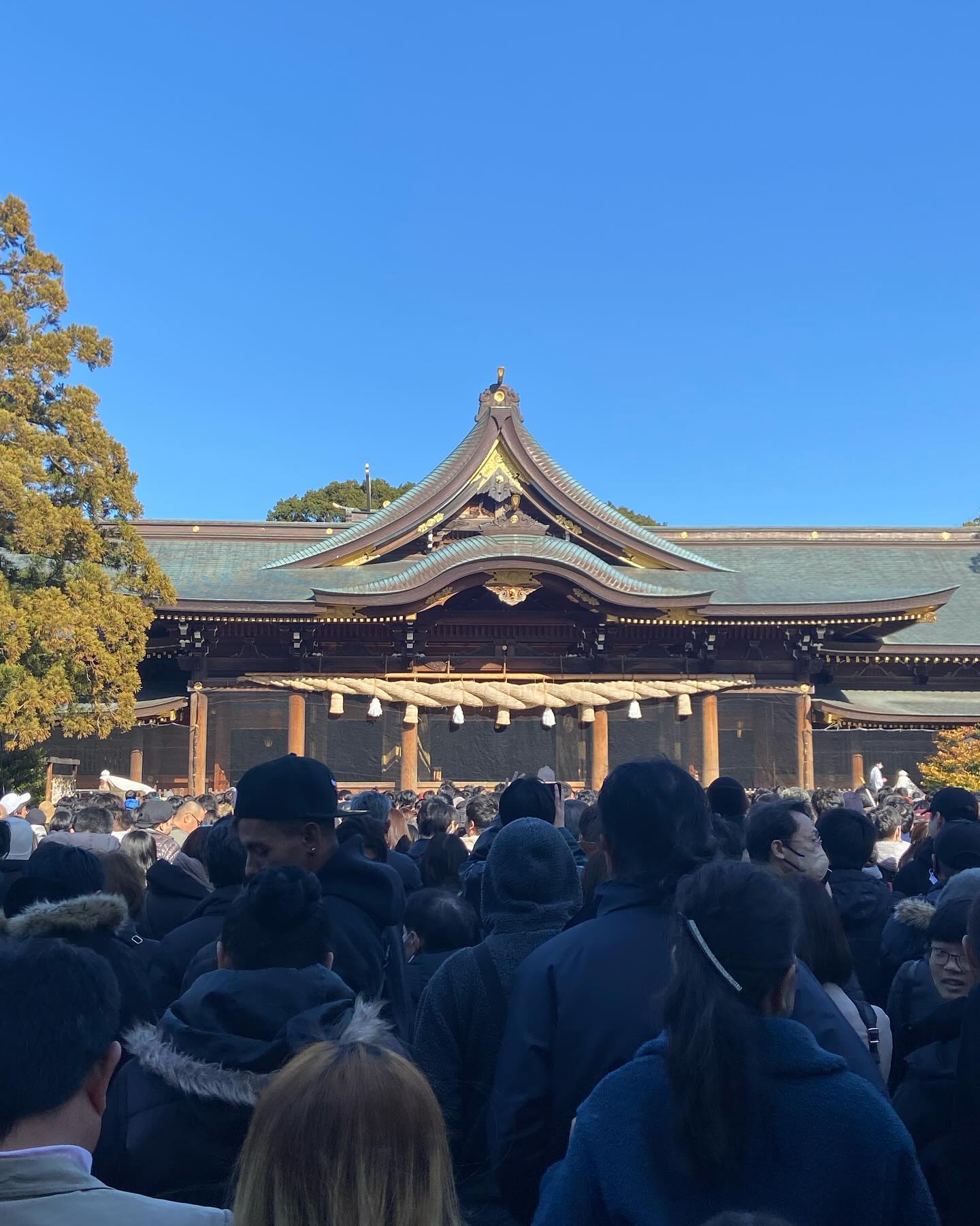 毎年恒例🎍