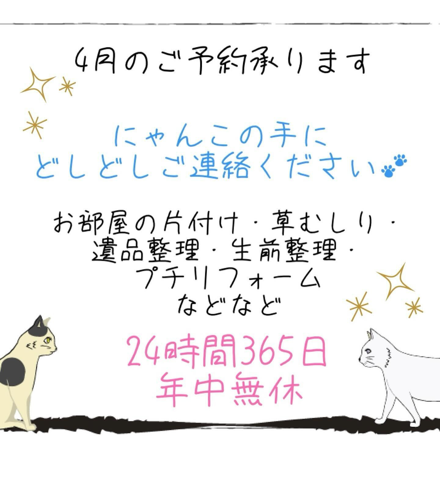 にゃんこの手、4月のご予約まだまだ空きがございます🎶