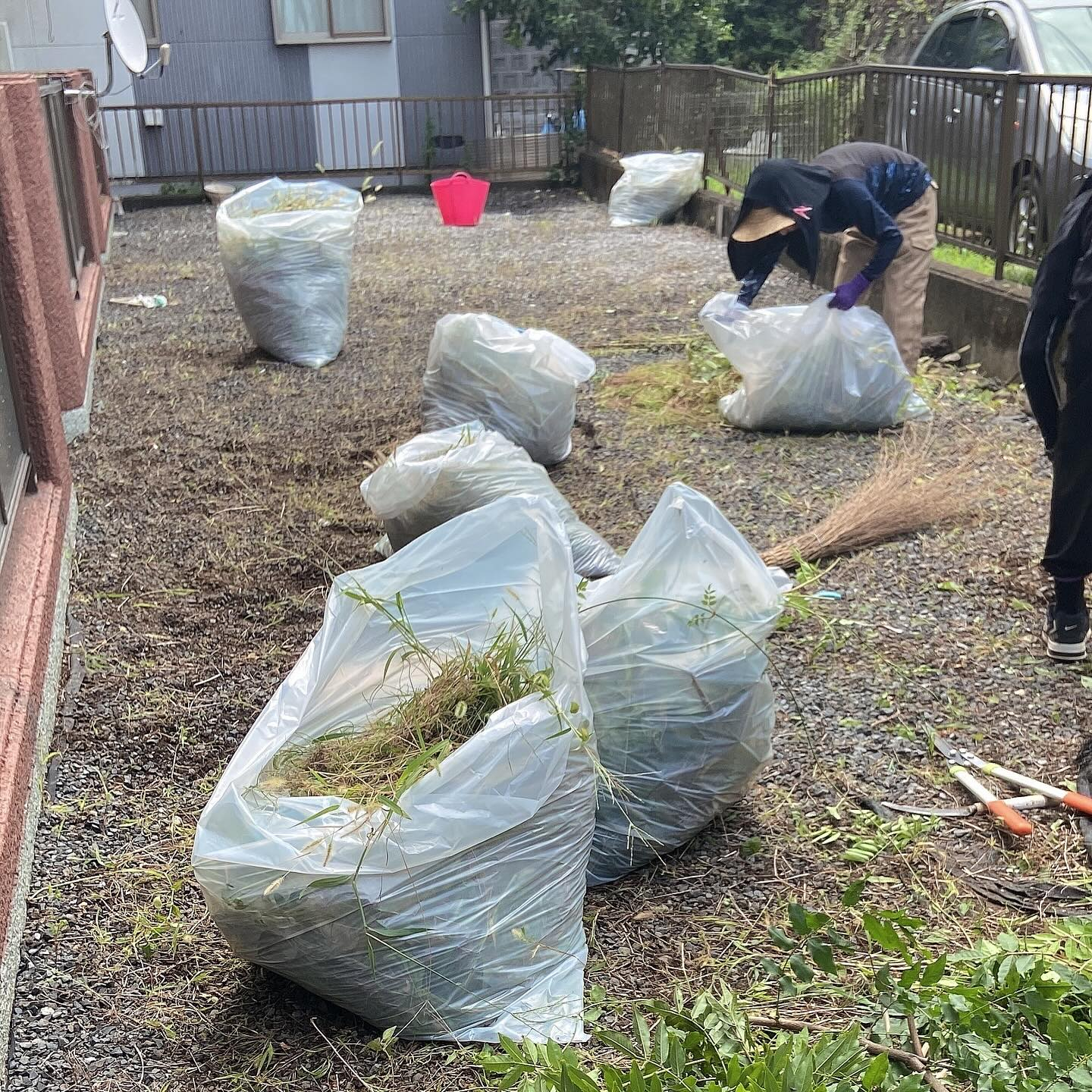 2日間伸びた草と戯れて