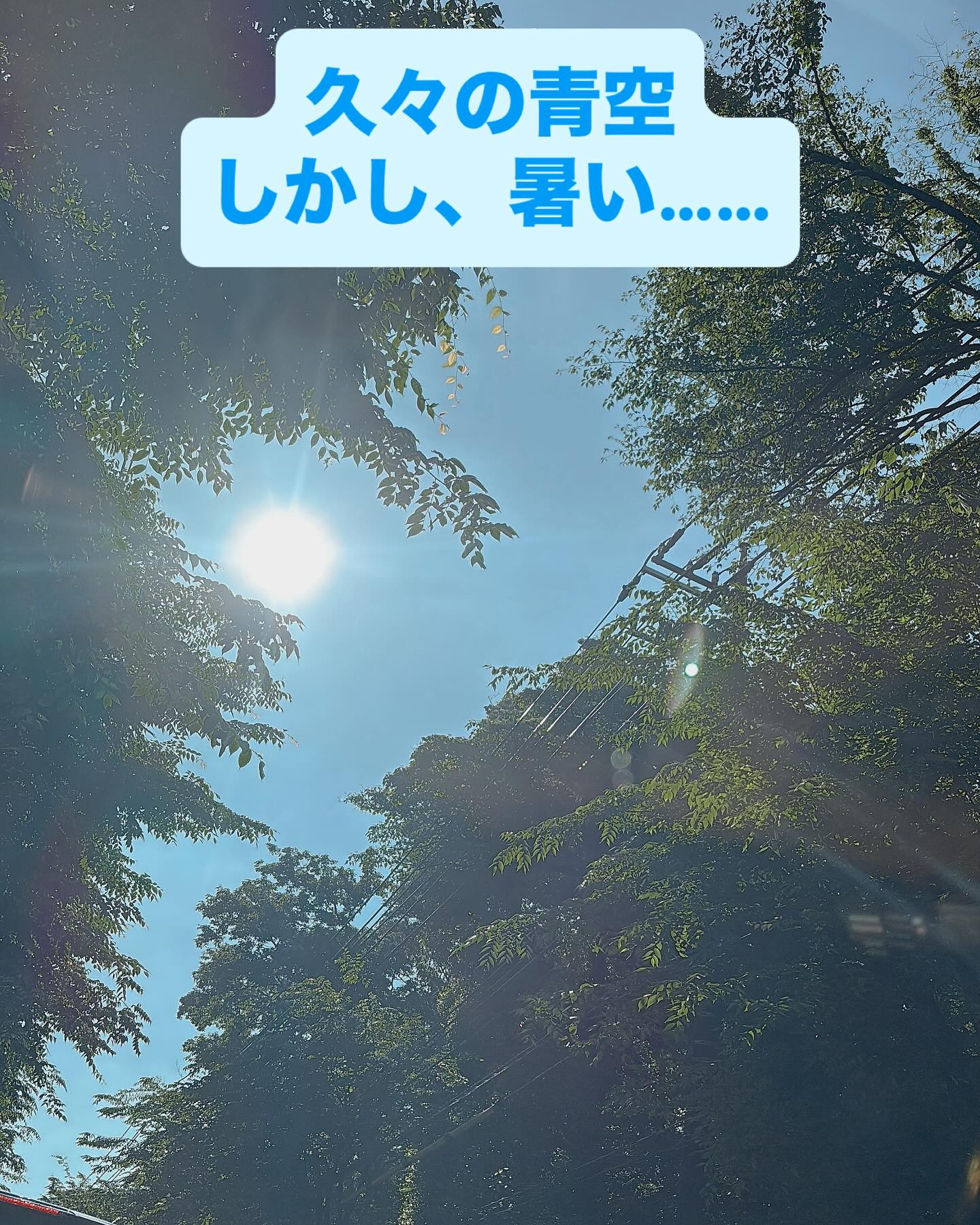 久々の青空