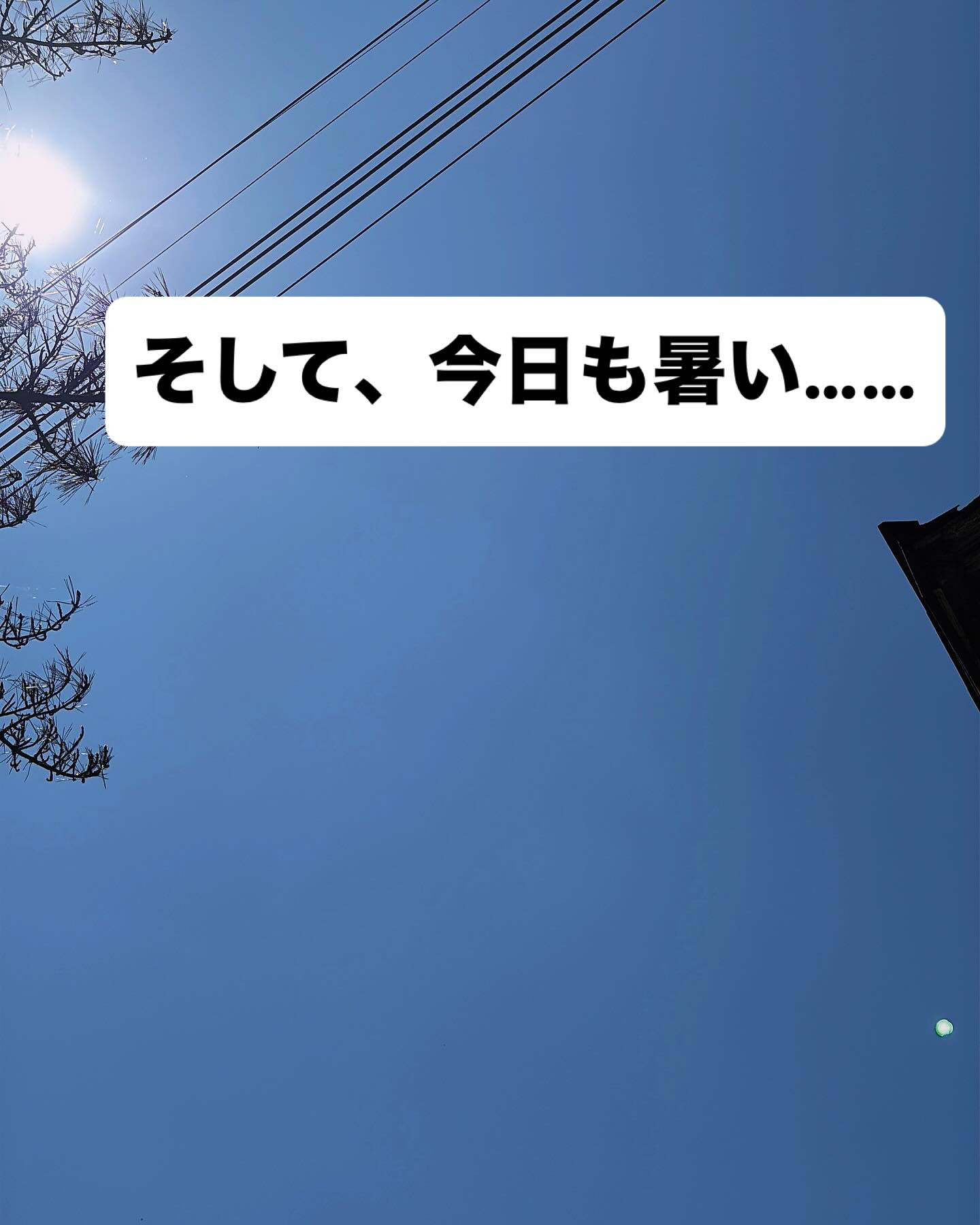 そして、今日も暑い……