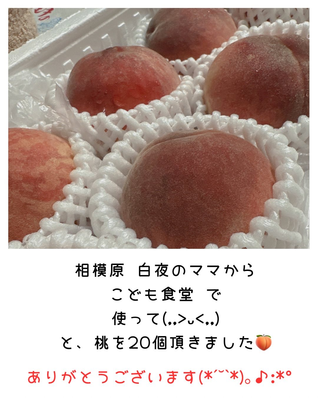 13日（日） こども食堂にゃんこの手