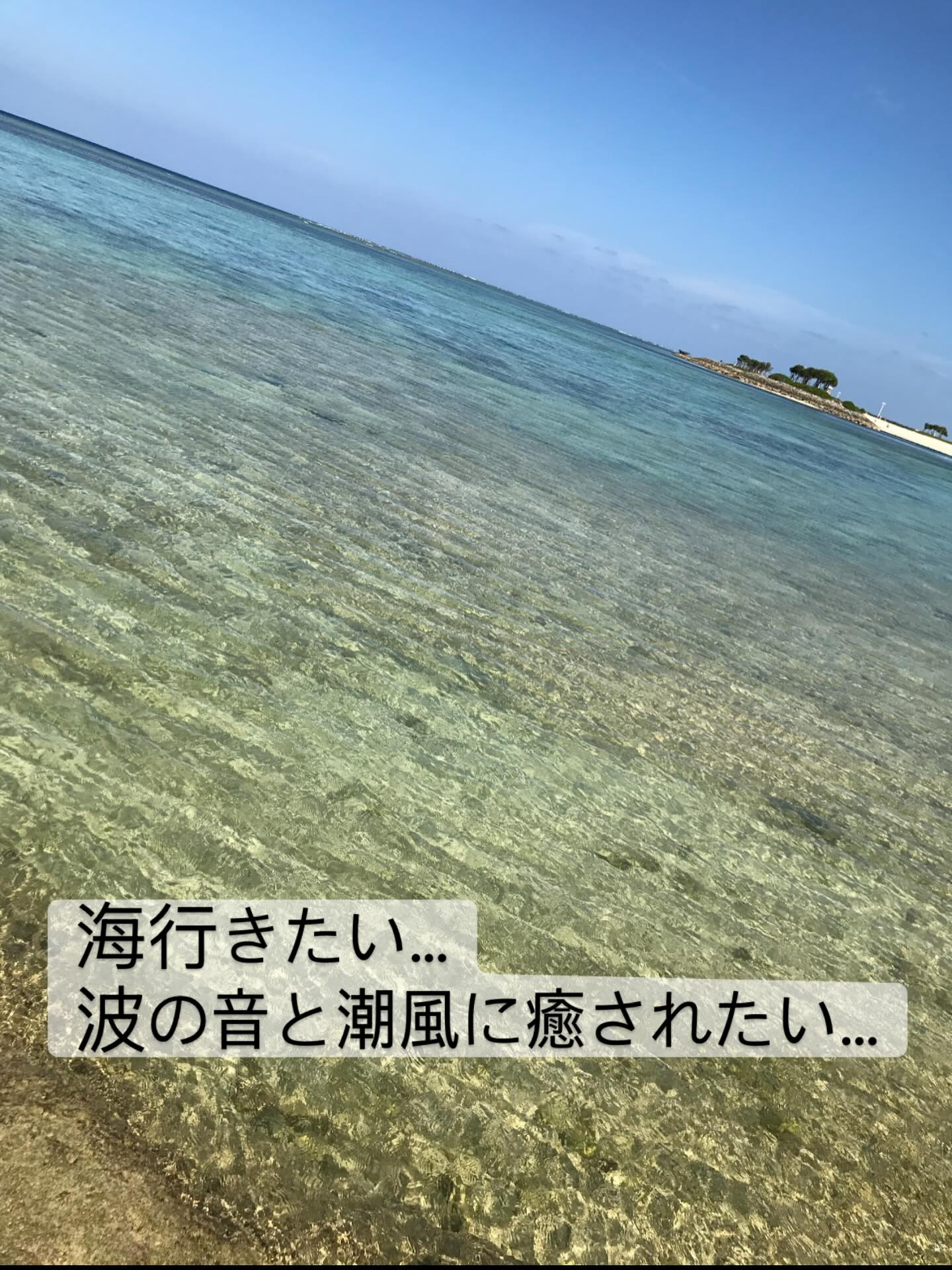 海行きたい…