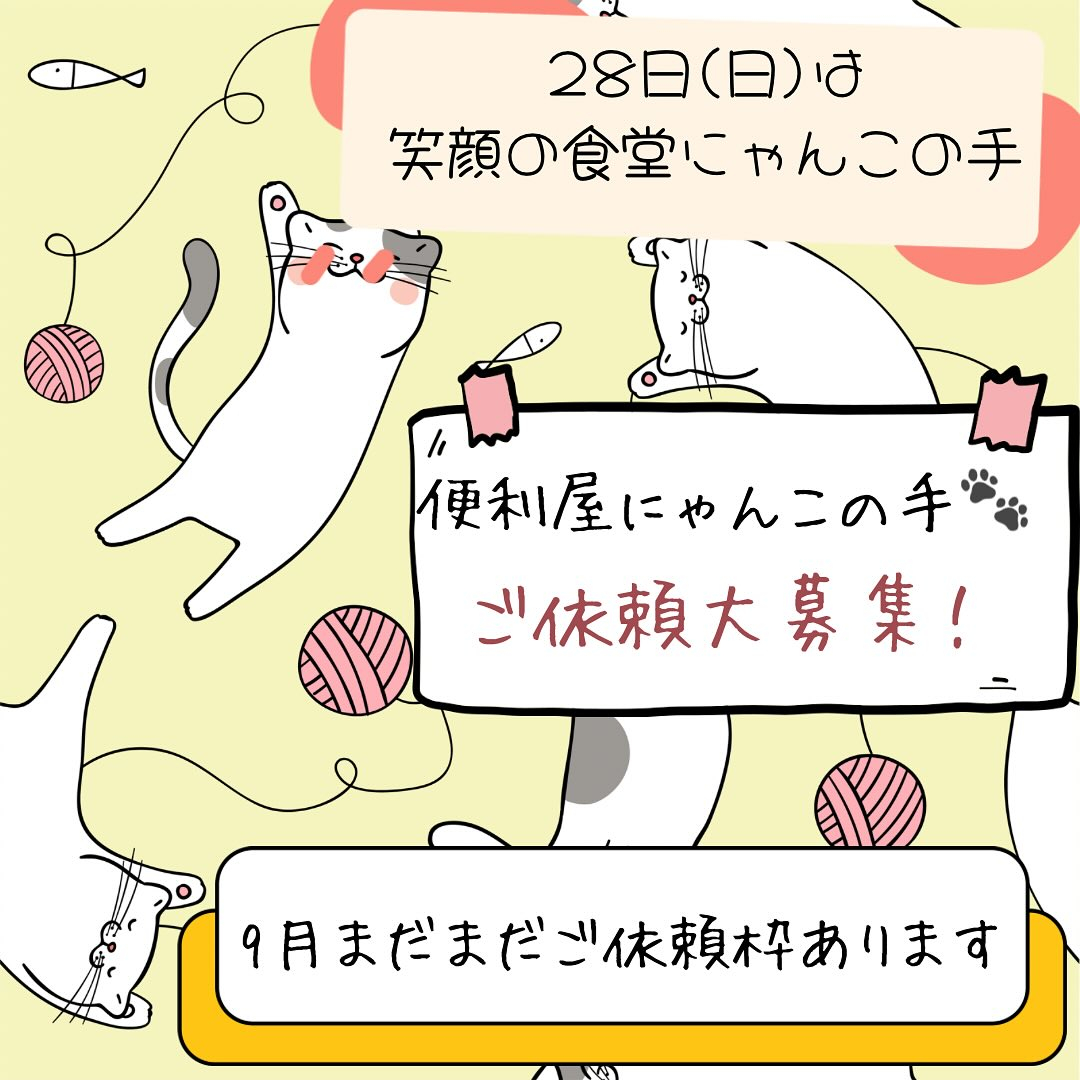 にゃんこの手は年中無休🐾