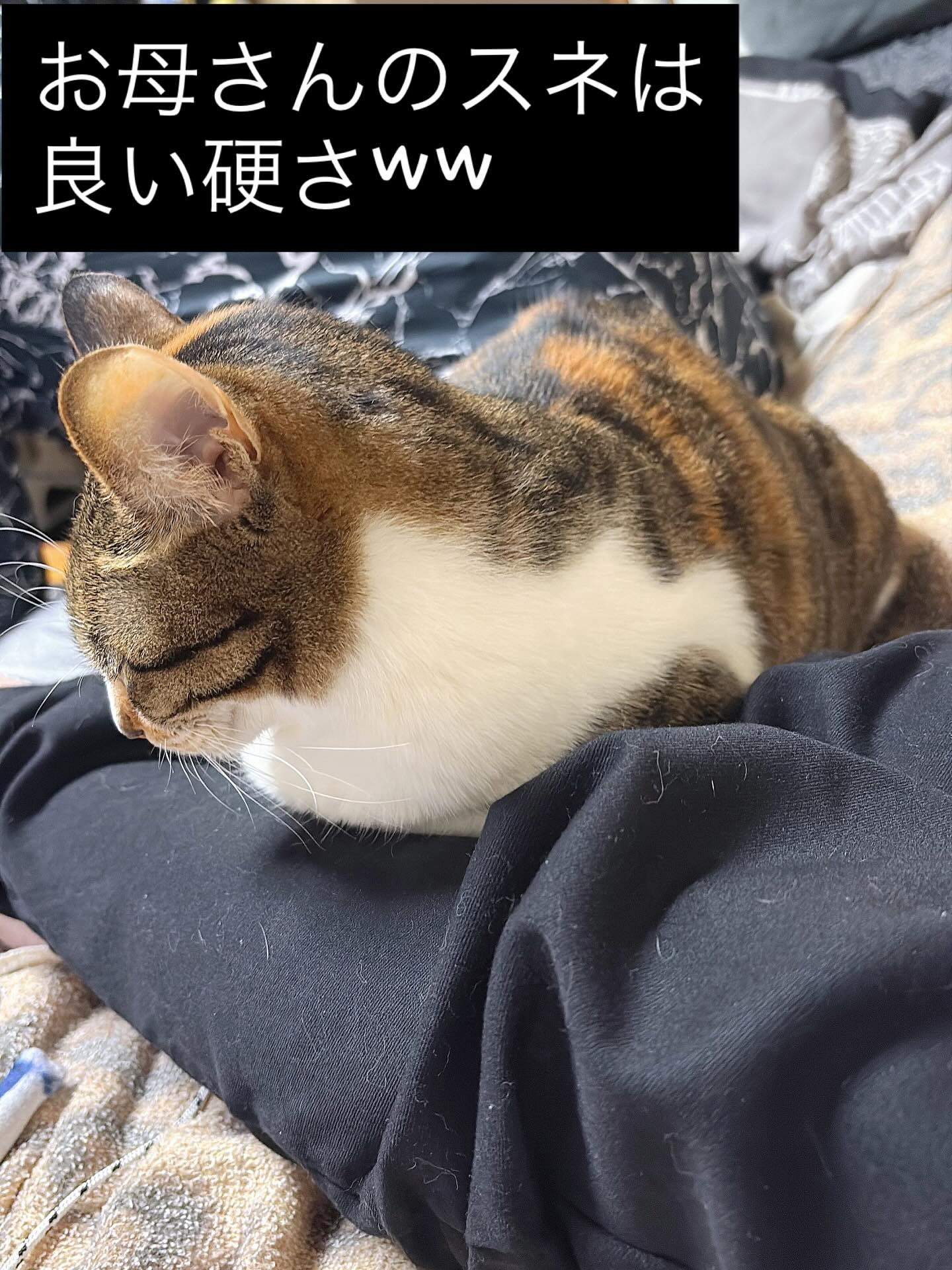 今日の作業が終わり、