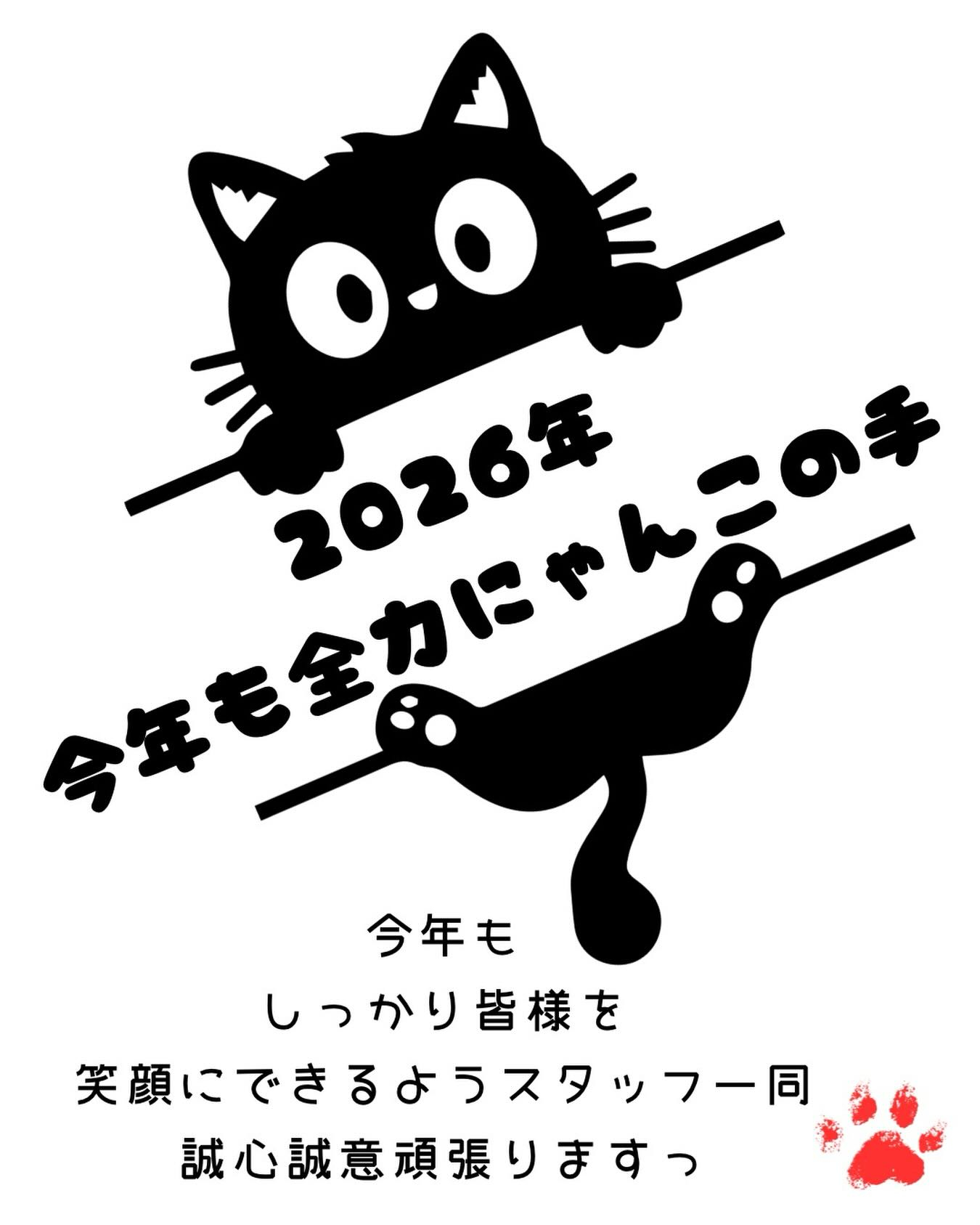 2026年 本年も頑張りますっ🐾
