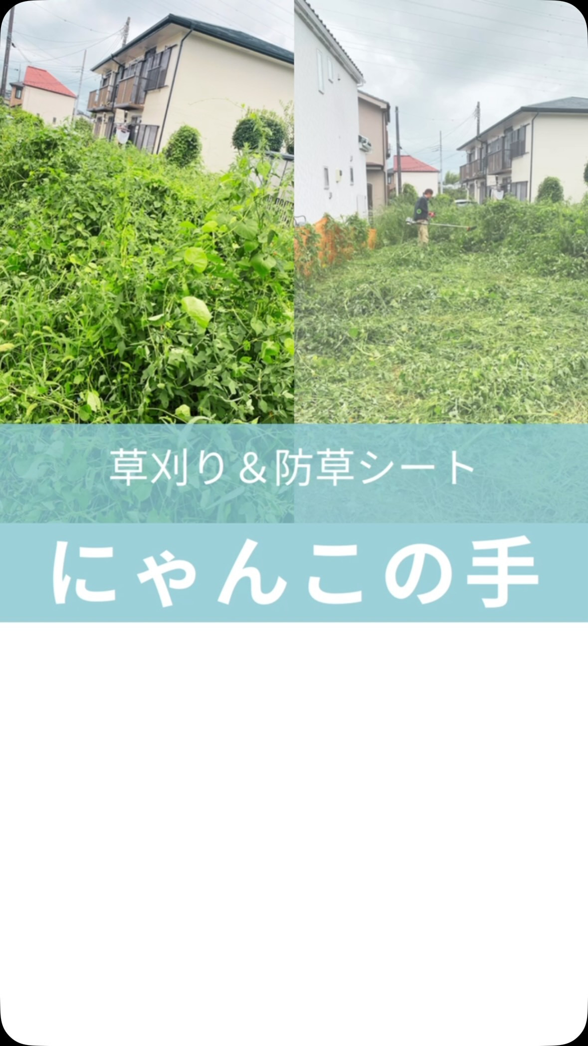 今年の夏も草むしりやら草刈りやら頑張ったなー(ง ･֊･)ง...