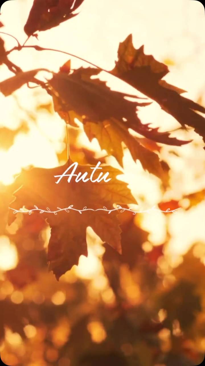 10月になりました🍁🍂